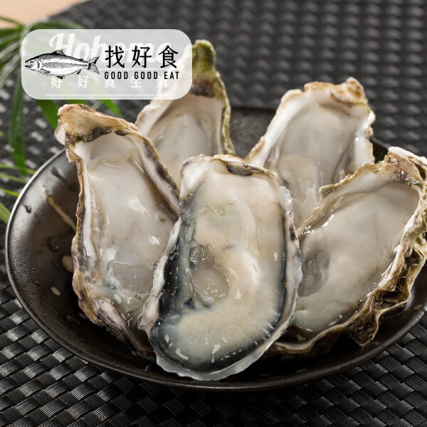 日本兵庫生食生蠔(1Kg約9-11顆)